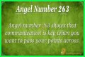 263 Angel Number Meaning - Pulptastic