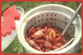Cajun Fest moves to Iowa State Fairgrounds’ venue