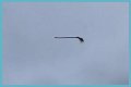 Disturbing video shows floating broom in the middle of the air and the internet is losing its collective mind