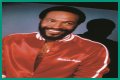 Eldergays, tell me about when Marvin Gaye was murdered by his father.