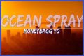 
                    Moneybagg Yo
                     – 
                    Ocean Spray lyrics
                