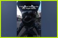 Night Rider Arrested, What Happened To Night Rider?
