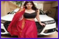 Sherlyn Chopra - Bio, Age, Wiki, Facts and Family