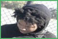 Swift Quis - Age, Family, Bio